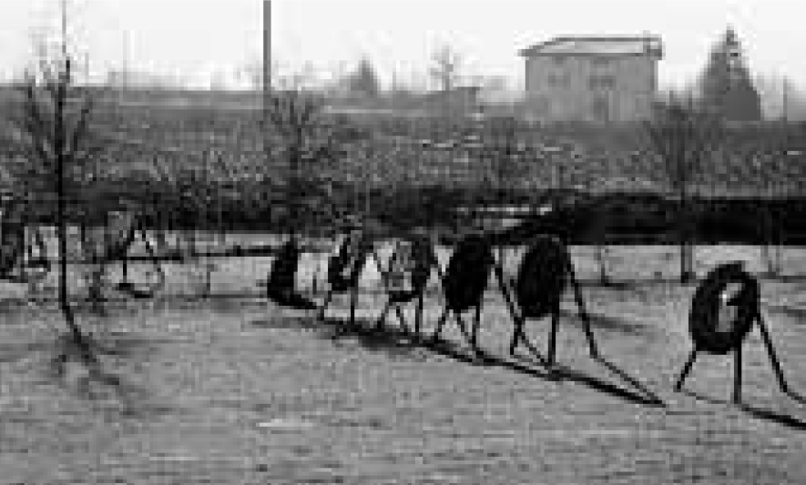 Rovereto momento d’oro per lo sport – Adige 2003